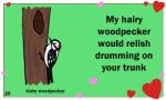 ambiguous_gender beak black_eyes duo feral heart_symbol holidays humor innuendo joke plant pun text tree birdcheese valentine's_day avian bird hairy_woodpecker picid woodpecker 5:3 animated digital_media_(artwork) english_text low_res short_playtime