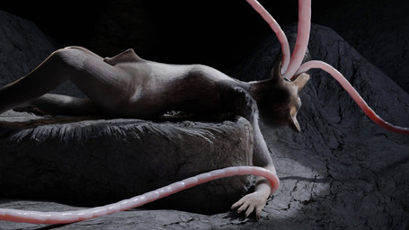 abdominal_bulge animal_genitalia anthro anthro_penetrated cave cavern forced fully_sheathed genitals lying male nightmare_fuel on_back oral oral_only oral_penetration penetration restrained restrained_by_tentacles sex sheath solo tentacle_in_mouth tentacle_penetration tentacle_sex tentacles hiad amaranth_(hiad) canid canine canis mammal wolf 16:9 3d_(artwork) 3d_animation animated digital_media_(artwork) hi_res no_sound short_playtime video widescreen