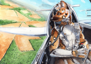 aircraft airplane anthro blue_eyes brown_body brown_fur casual_nudity cockpit collar collar_only field fur harness head_tuft inside_airplane landscape looking_away male markings multicolored_body multicolored_fur nipples nude perspective pilot sky solo spots spotted_body spotted_fur text tuft vehicle white_body white_fur year heather_bruton steen_(stripeyyena) african_wild_dog canid canine mammal 2022 acrylic_painting_(artwork) artist_name colored_pencil_(artwork) painting_(artwork) traditional_media_(artwork) traditional_painting_(artwork)