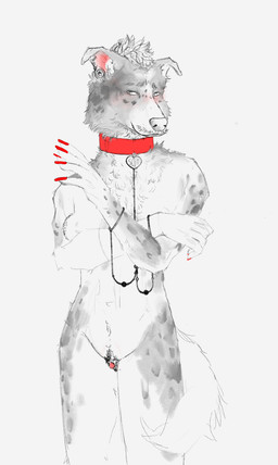 andromorph anthro big_clitoris blush clitoris collar colored_nails embarrassed genitals intersex nails red_nails slim solo vulva cupiddemon australian_shepherd canid canine canis domestic_dog herding_dog mammal pastoral_dog sheepdog absurd_res hi_res sketch trans_(lore)
