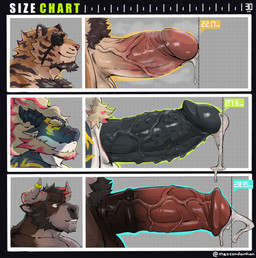 2_horns anthro barazoku beard bodily_fluids chart cum erection facial_hair genital_fluids genitals group horn humanoid_genitalia humanoid_penis male metric_unit musk penis penis_chart penis_size_difference precum pubes trio vein veiny_penis meocondainhan mythology penis_lineup bovid bovine cattle dragon felid mammal mythological_creature mythological_scalie pantherine scalie tiger absurd_res hi_res