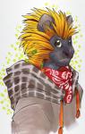 abstract_background ambiguous_gender anthro biped blonde_hair brown_nose clothed clothing frown green_eyes grey_body hair hoodie kerchief looking_aside looking_away muzzle_scabs neckerchief neckwear simple_background solo spines topwear white_background krazehness common_porcupine mammal new_world_porcupine porcupine rodent 2013 bust_portrait portrait traditional_media_(artwork)