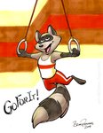 anthro bottomwear clothed clothing gymnastics half-closed_eyes male narrowed_eyes pants red_bottomwear red_clothing red_pants shirt solo tank_top topwear brian_reynolds animalympics fan_character mammal procyonid raccoon 2019 hi_res