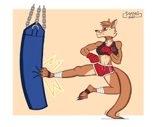 anthro boxing_gloves clothing female handwear kickboxing muscular muscular_female punch punching_bag solo samau franziska_(drawligator) kangaroo macropod mammal marsupial absurd_res hi_res