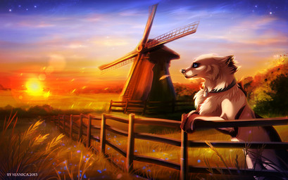 against_fence against_surface ambiguous_gender black_lips black_nose blue_eyes collar day fence feral fur grass lips paws plant sky solo sun white_body white_fur windmill seanica canid canine canis domestic_dog mammal