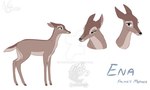 female solo namygaga deer mammal model_sheet