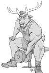 anthro antlers beard bicep_curl biceps bodily_fluids bottomwear clothing dumbbell ear_piercing ear_ring exercise facial_hair fingerless_gloves footwear gloves hair handwear horn looking_down male muscular muscular_anthro muscular_male nipples pecs piercing ring_piercing shirt shoes shorts simple_background sitting socks solo sweat tank_top topwear vein veiny_muscles weight_bench weightlifting weights white_background workout howz lance_(howz) deer mammal 2020 greyscale hi_res monochrome signature