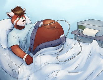 anthro bed belt electronics furniture hospital hospital_gown lying male medical_instrument monitor pillow pregnant pregnant_anthro pregnant_male scientific_instrument solo wristband randomgirl1265 ailurid mammal red_panda