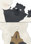 anthro black_body black_nose bulge butt duo erection genitals kemono male male/male overweight overweight_male penis white_body haoming bear mammal polar_bear ursine 2023 hi_res