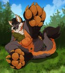 animal_genitalia animal_penis anthro anus balls canine_genitalia canine_penis feet foot_focus genitals knot male pawpads paws penis presenting raised_paw solo tongue pawzzhky fin_the_fox canid canine fox mammal hi_res