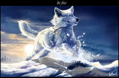 4_toes ambiguous_gender black_nose day detailed_background feet feral fur outside paws sky snow solo sun toes white_body white_fur wolfroad canid canine canis mammal wolf 2011 absurd_res digital_media_(artwork) hi_res