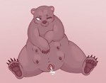 animal_genitalia animal_pussy belly_nipples bodily_fluids brown_body brown_fur cum cum_in_pussy cum_inside female feral front_view fur genital_fluids genitals multi_nipple nipples one_eye_closed pussy sitting solo ursine_pussy conditional_dnp labbit_(artist) bear brown_bear mammal ursine hi_res