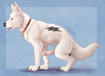 anatomically_correct animal_genitalia animal_penis balls bodily_fluids border canine_genitalia canine_penis collar condom erection feral fur genital_fluids genitals knot knotted_condom looking_at_viewer male name_tag outside_border penis precum rounded_back sexual_barrier_device side_view simple_background solo suggestive textured_background thrusting wearing_condom white_body white_fur marjani bolt_(film) disney bolt_(bolt) canid canine canis domestic_dog german_shepherd herding_dog mammal pastoral_dog