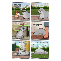 bodily_fluids dialogue duo fart female feral male open_mouth smile solo sweat sweatband tail text young young_female young_feral kashicats mido_(kashicats) mochi_(kashicats) domestic_cat felid feline felis mammal 1:1 comic digital_media_(artwork) english_text