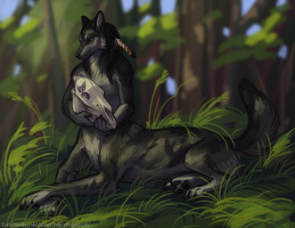 accessory black_body black_fur black_hair black_nose blue_eyes day feather_in_hair female female_taur forest fur grass hair hair_accessory holding_skull loose_feather mouth_closed on_ground outside plant side_view solo text tree whiskers white_body white_fur heatherwolf canid canine mammal taur url