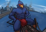 anthro areola beak big_bulge big_muscles blue_body blue_feathers bulge city clothed clothing feathers macro male muscular muscular_anthro muscular_male nipples red_clothing red_underwear solo topless topless_anthro topless_male underwear rygel_spkb nintendo star_fox falco_lombardi avian bird 2022 digital_media_(artwork) hi_res