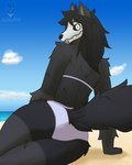 anthro beach bikini black_body black_fur bone breasts clothed clothing cloud female fur hair looking_at_viewer outside sand seaside skull skull_head smile solo swimwear two-piece_swimsuit sirdoomwolf scp_foundation scp-1471-a canid canine malo mammal monster 4:5 digital_media_(artwork) hi_res