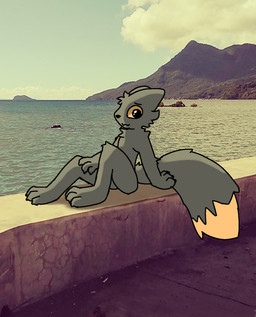 anthro male polaroid_photo sea sitting sitting_on_ground solo water arcticolthetwinfox casualties:_unknown canid canine expie_(gunsawian) gunsawian mammal hi_res