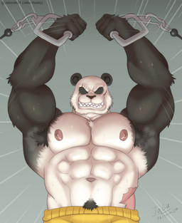 abs anthro armpit_hair biceps body_hair exercise eye_scar facial_scar fur male muscular muscular_anthro muscular_male nipples pecs pubes scar solo workout jabuhusky beastars gouhin_(beastars) bear giant_panda mammal 2024 hi_res