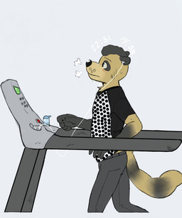 anthro belt black_hair black_hands black_nose bodily_fluids bottle bottomwear brown_body brown_eyes brown_fur clothing container electronics exercise_equipment fur hair headphones jogging looking_forward machine male pants shirt simple_background solo sweat tail topwear water_bottle whisker_spots white_background p_rindustries apple_inc. p_rindustries_(p_rindustries) canid canine mammal raccoon_dog tanuki 5:6 hi_res