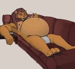 anthro balls_outline belly big_belly big_bulge bulge clothing deimos detailed_bulge eyewear felid furniture genital_outline glasses hi_res lion male mammal mature_anthro mature_male overweight overweight_anthro overweight_male pantherine penis_outline reading resting sheppyduke sofa solo underwear