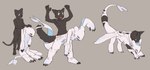 all_fours ambiguous_gender anthro biped black_body black_fur blue_internal claws duo featureless_crotch fur grey_background hollow_body male membrane_(anatomy) membranous_wings nude open_mouth puffed_tail scared simple_background species_transformation standing suit_transformation transformation transformation_sequence unusual_anatomy white_body wings maneko dreamworks european_mythology how_to_train_your_dragon mythology maneko_(maneko) animate_inanimate domestic_cat dragon felid feline felis fury_(httyd) light_fury living_clothing mammal mythological_creature mythological_scalie scalie western_dragon 2019 colored hi_res sequence
