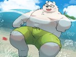 anthro belly big_belly bottomwear clothing cloud detailed_background eyewear glasses kemono male moobs navel outside overweight overweight_male scar shorts solo swimwear water uokkom bear mammal polar_bear ursine 2023 hi_res