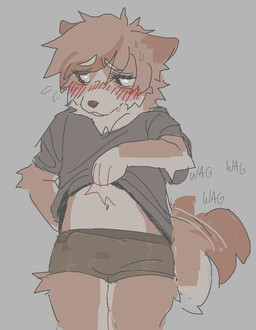 anthro blush bulge clothed clothing clothing_lift countershading detailed_bulge embarrassed erection genital_outline male male_anthro penis_outline presenting_belly shirt shirt_lift shy simple_background snout solo tail tail_motion tailwag topwear underwear gaypassionfruit mammal 2026