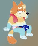 anthro australian_flag bedroom_eyes bulge clothed clothing erection erection_under_clothing flag_speedo flag_swimwear male narrowed_eyes seductive smile smiling_at_viewer smirk smirking_at_viewer solo speedo swimwear towel wet conditional_dnp hellfurred bluey_(series) radley_heeler australian_cattle_dog canid canine canis cattledog domestic_dog herding_dog mammal pastoral_dog absurd_res hi_res