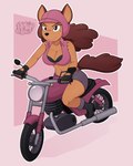 anthro armor biker black_bra black_clothing black_underwear bottomwear bra brown_hair clothing curled_tail curly_hair female fingerless_gloves gloves hair handwear headgear helmet motorcycle shorts solo tail torn_clothing underwear vehicle b0liy0 ana_(b0liy0) canid canine mammal 4:5 absurd_res hi_res