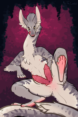 2_penises animal_genitalia animal_penis anus balls cloaca cloacal_penis cloacal_rectum countershade_arms countershade_balls countershade_crotch countershade_face countershade_genitalia countershade_hands countershade_neck countershade_tail countershade_torso countershading detailed_background erection feral fur genitals grey_body grey_fur hemipenes licking licking_lips looking_at_viewer lying male male_feral multi_genitalia multi_nipple multi_penis nipples on_side penis pink_penis presenting slightly_chubby slightly_chubby_feral slightly_chubby_male solo spread_legs spreading tail tongue tongue_out white_body white_fur yellow_eyes meldritchhorror mammal 2019 2:3 absurd_res hi_res