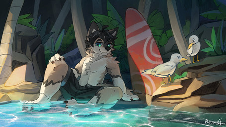 ambiguous_feral ambiguous_gender anthro black_clothing black_hair black_swimming_trunks black_swimwear blue_eyes clothing feral fur hair looking_at_viewer male male_anthro navel outside partially_clothed_anthro partially_clothed_male plant pointy_ears rock sitting smile solo surfboard swimming_trunks swimwear tan_body tan_fur teeth tree water white_body white_fur beckowaffle avian bird canid canine canis gull lari larid mammal wolf 16:9 2025 character_request digital_media_(artwork) digital_painting_(artwork) english_description hi_res painting_(artwork) signature widescreen