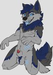 4_toes 5_fingers animal_genitalia anthro arm_tuft balls blue_eyes blue_hair blue_sclera blue_tongue bodily_fluids cheek_tuft elbow_tuft facial_tuft feet fingers fur genital_fluids genitals grey_background grey_balls grey_body grey_fur grey_sheath hair kneeling male nipples nude open_mouth penis penis_tip precum precum_bead red_penis sheath short_hair simple_background solo toes tongue tongue_out tuft martinballamore mythology frosty_(frostyboi) canid canine mammal mythological_canine mythological_creature werecanid werecanine werecreature werewolf hi_res