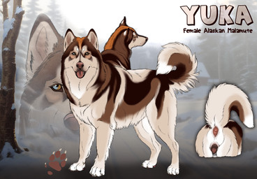 animal_genitalia animal_vulva anus blue_eyes brown_body brown_eyes brown_fur brown_tail brown_vulva canine_genitalia canine_vulva female female_feral feral fur genitals glistening glistening_eyes leg_tuft looking_at_viewer multicolored_eyes open_mouth red_anus red_tongue side_view solo tail tan_body tan_fur tan_tail tongue tongue_out tuft two_tone_eyes vulva white_body white_fur kodaac alaskan_malamute canid canine canis domestic_dog mammal nordic_sled_dog spitz hi_res model_sheet