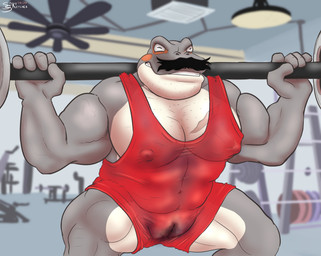5_fingers animal_genitalia anthro biceps big_muscles big_nipples body_hair bulge camel_toe ceiling_fan clenched_teeth clothing detailed_background electric_fan exercise eyes_closed facial_hair fingers genital_slit genitals grey_body grey_skin gym huge_muscles inside male multicolored_body multicolored_skin muscular muscular_anthro muscular_male mustache nipple_outline nipples pecs quads red_clothing scar slit_outline solo teeth tight_clothing weightlifting white_body white_skin workout wrestling_singlet spikysketches amphibian alternate_version_at_source