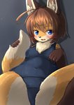 2019 5_fingers ahoge anthro black_nose blue_eyes blush breasts brown_body brown_fur brown_hair canid canine chest_tuft claws clothing cute_fangs digital_media_(artwork) dipstick_tail fangs female female_anthro fingers fluffy fluffy_tail fox fur glistening glistening_body glistening_fur glistening_hair gloves_(marking) grey_background hair hi_res inner_ear_fluff kemono leg_markings looking_at_viewer mammal markings multicolored_body multicolored_fur multicolored_tail navel one-piece_swimsuit open_mouth orange_body orange_fur school_swimsuit shadow shiitakemeshi short_hair signature simple_background slightly_chubby socks_(marking) solo spread_legs spreading swimwear tail tail_markings teeth tongue tuft whiskers white_body white_fur yellow_body yellow_fur