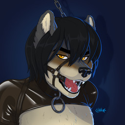 anthro bdsm bdsm_collar bdsm_gear black_hair blue_background brown_body brown_fur clothing collar fangs fur gag gagged grey_body grey_fur hair halter harness_gag harness_ring_gag latex latex_clothing looking_at_viewer male male_anthro multicolored_body multicolored_fur open_mouth open_mouth_gag orange_eyes ring_gag simple_background solo submissive submissive_anthro submissive_male teeth tongue junkieboi canid canine canis mammal wolf hi_res icon