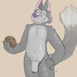 cookie ears_up food fur genitals grey_body grey_fur humanoid_genitalia humanoid_penis male penis solo tail palister35 cookie_crisp chip_the_wolf canid canine canis mammal wolf 1:1 hi_res