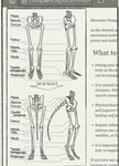 biped bone comic digitigrade english_text growth human_to_anthro plantigrade skeleton species_transformation tail tail_growth text transformation vanillayote zero_pictured