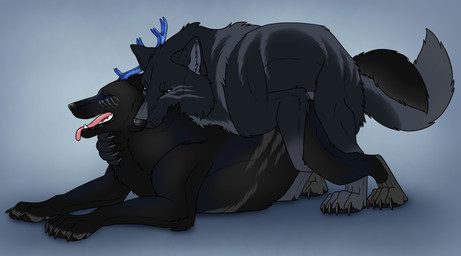 ambiguous_gender ambiguous_penetrated ambiguous_penetration antlers black_body black_claws black_fur blue_antlers blue_eyes claws duo feral feral_on_feral feral_penetrated feral_penetrating feral_penetrating_feral from_behind_position fur genitals grey_body grey_fur horn intraspecies looking_pleasured lying male male/ambiguous male_penetrating male_penetrating_ambiguous narrowed_eyes obscured_penetration on_front open_mouth penetration penile penile_penetration pink_tongue sex side_view simple_background tongue tongue_out killthe_demon canid canine mammal hi_res