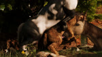 anal anal_penetration animal_genitalia animal_penis balls bisexual canine_genitalia canine_penis clinging doggystyle equine_genitalia equine_penis erection fellatio female female_penetrated feral feral_on_feral feral_penetrated feral_penetrating feral_penetrating_feral from_behind_position fur genitals group group_sex interspecies knot knotted_penis large_penetration lucky_pierre male male/female male/male male_penetrated male_penetrating male_penetrating_female male_penetrating_male oral oral_penetration penetration penile penile_penetration penis realistic_feral sex threesome trio trioami260 canid canine equid equine horse mammal 16:9 3d_(artwork) 3d_animation animated digital_media_(artwork) short_playtime sound webm widescreen