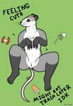 anthro breasts female fur genitals nude pussy sleeping smile solo tail text trash not-a-fox american_opossum mammal marsupial virginia_opossum digital_media_(artwork) english_text hi_res