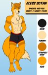 anthro athletic athletic_male black_nose boxers_(clothing) brown_ear_tips brown_eyes brown_hair brown_stripes clothed clothing dipstick_ears dipstick_tail ear_markings fur hair male markings multicolored_ears nipples orange_body orange_fur orange_tail pink_nipples pose smile solo stripes tail tail_markings tan_body tan_fur tan_soles tan_tail_tip text topless topless_male underwear theboundraccoon aless-sotan canid canine fox mammal absurd_res digital_drawing_(artwork) digital_media_(artwork) english_text full-length_portrait hi_res model_sheet portrait