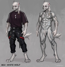 4_toes abs anthro balls barefoot bondage_pants bottomwear claws clothing digitigrade dog_tags dreadlocks ear_piercing feet finger_claws flaccid fur genitals male muscular muscular_male nude pants paws penis piercing red_eyes shirt solo streetwear t-shirt tattoo techwear text toe_claws toes topwear white_body white_fur ansart rex_(ansart) canid canine canis mammal wolf english_text model_sheet
