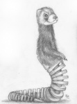 ambiguous_gender bone cybernetics feral machine skeleton solo surrealism what_has_science_done where_is_your_god_now foxia cyborg domestic_ferret mammal mustelid musteline reptile scalie snake true_musteline weasel 2013 greyscale monochrome sketch