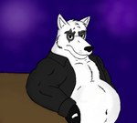 anthro belly clothing disappointed fur furniture gloves handwear jacket male overweight overweight_male purple_background simple_background solo table topwear huttsergreywolf huttser_greywolf canid canine canis mammal wolf 2010