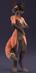 animal_genitalia animal_pussy anthro bedroom_eyes breasts canine_genitalia canine_pussy female genitals lebel looking_at_viewer narrowed_eyes nipples nude pussy seductive smile solo text maxnoward blender_cycles canid canine cross_fox fox mammal red_fox true_fox 1:2 3d_(artwork) absurd_res blender_(artwork) digital_media_(artwork) english_text hi_res