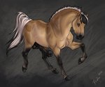 2019 absurd_res anatomically_correct anatomically_correct_genitalia anatomically_correct_penis animal_genitalia animal_penis arvakr balls big_flare black_body black_fur black_mane brown_eyes digital_drawing_(artwork) digital_media_(artwork) draft_horse equid equine equine_genitalia equine_penis erection feral fjord_horse flared_penis fur genitals hair hi_res hooves horse looking_at_viewer male mammal mane medial_ring multicolored_mane penis quadruped raised_tail rufciu sheath signature simple_background solo tail tan_body tan_fur two_tone_mane unguligrade vein veiny_penis white_mane