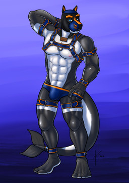 abs animal_mask anthro black_body blue_bottomwear blue_clothing blue_eyes blue_harness bottomwear clothed clothing front_view glistening glistening_eyes hand_behind_head harness jewelry male male_anthro mask muscular muscular_anthro muscular_male necklace nipples pecs pink_nipples pup_mask simple_background solo standing topless wearing_mask white_body hufnaar aquatic cetacean dolphin mammal oceanic_dolphin orca toothed_whale 2019 absurd_res dated hi_res