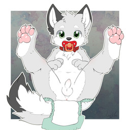 anthro anus collar diaper genitals male object_in_mouth pacifier pacifier_in_mouth pawpads penis presenting shota small_penis solo spread_legs spreading young young_anthro kurodfox canid canine canis mammal wolf 1:1 hi_res